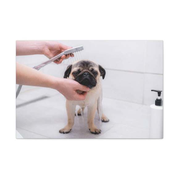 Cute Pug Bathee Canvas Wall Art  for Home Decor Ready-to-Hang - Picture 2 of 2